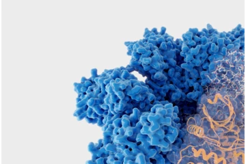 Enzymes